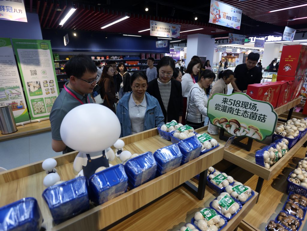 连云港AI电商发展大会暨第七届518网络购物季开幕 - 第3张 | 大陆桥视野 连云港AI电商发展大会暨第七届518网络购物季开幕 - 第3张 | 大陆桥视野